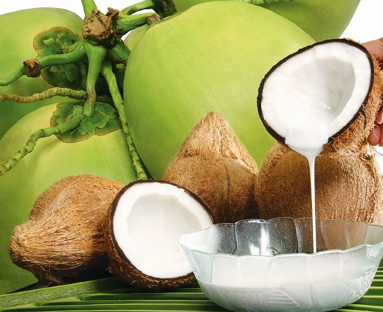 Usaha Santan Kelapa Instan